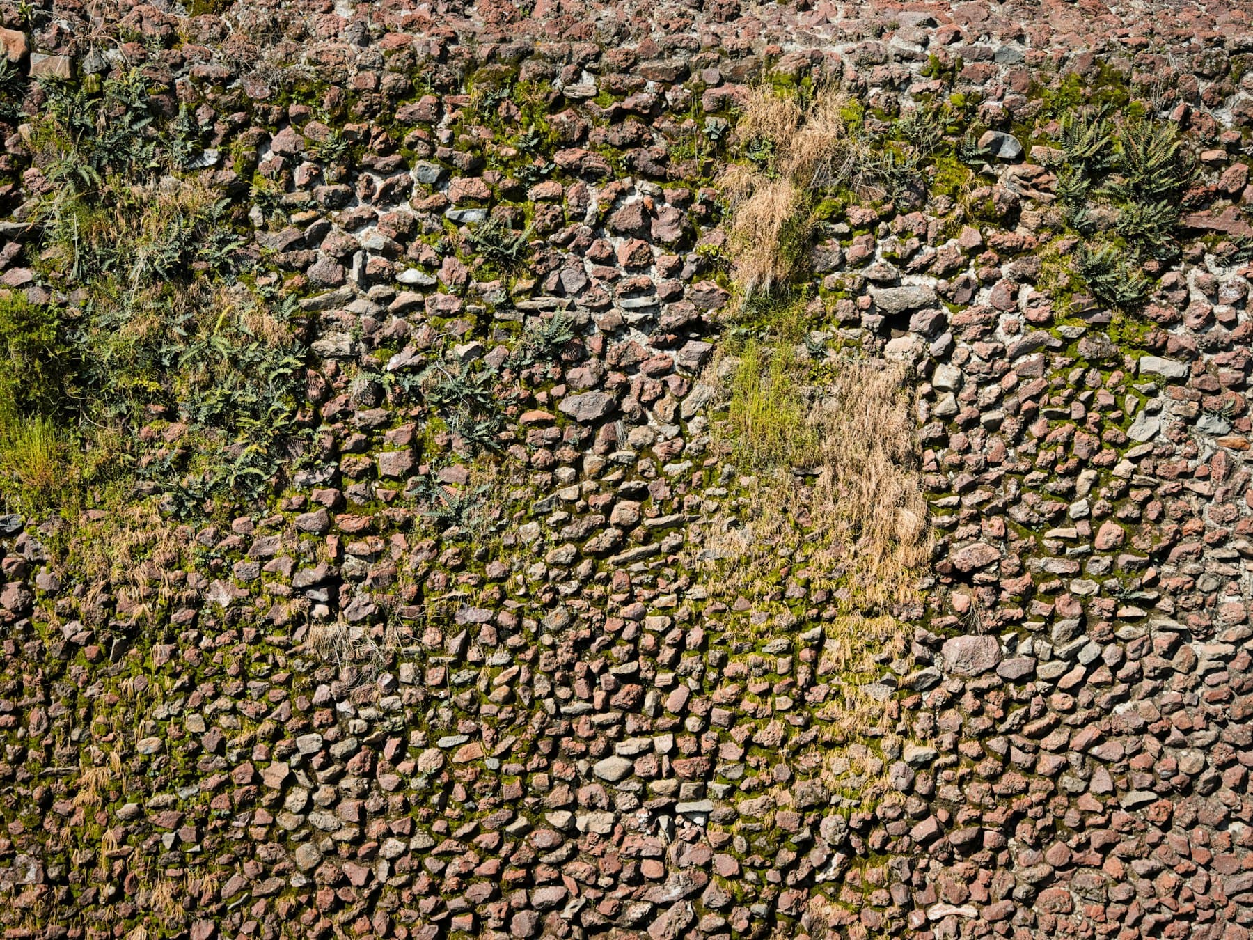 Moody moss placeholder photo 5