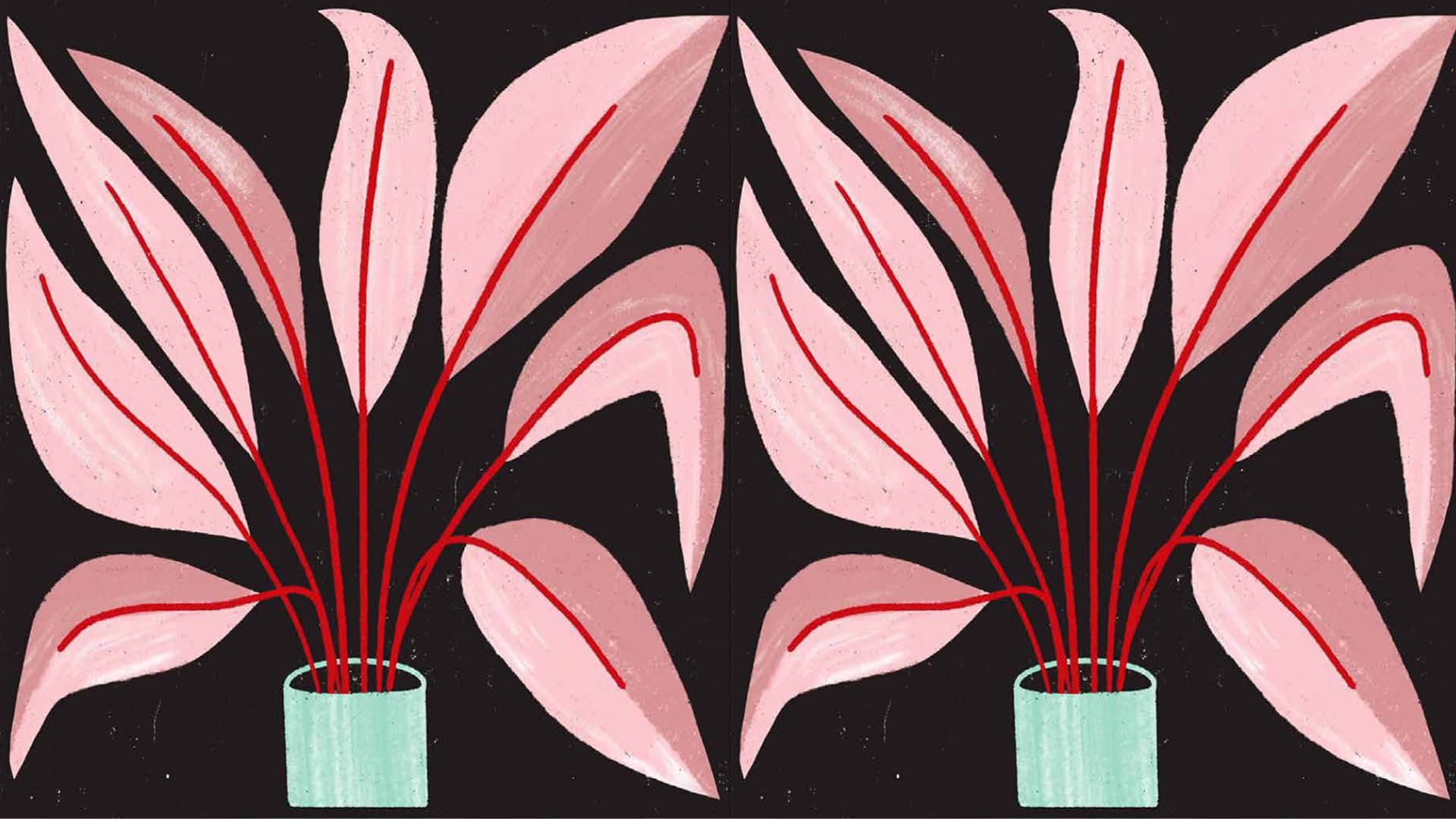 Illustrated plant placeholder photo