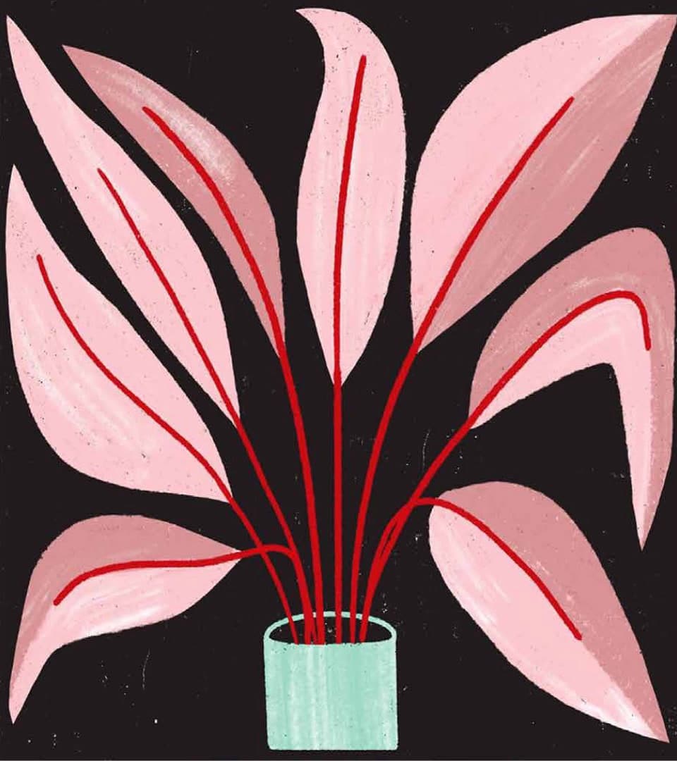 Illustrated plant placeholder photo